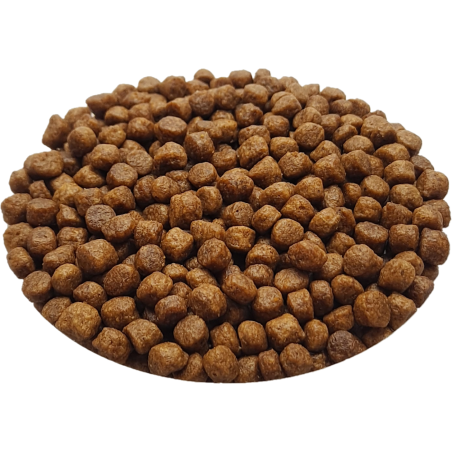 Croquettes Originelle chaton sans céréales - 10 kg