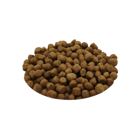 Extra koï granulés medium - 3kg