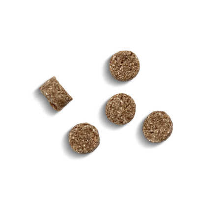 Tendres bouchées "éducation" chien 100g - Marly & Dan