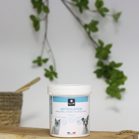 Articulation -  200 g