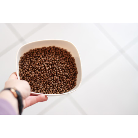 Croquettes Essentielle chaton poulet - 10 kg