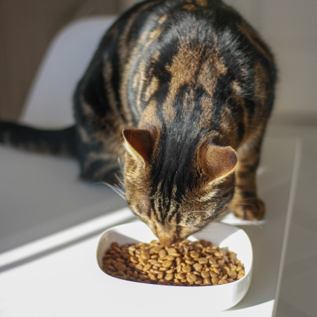 Croquettes Essentielle chat sénior stérilisé 7+ poulet - 400g