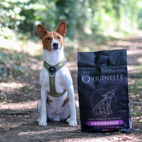 Croquettes Originelle mini croissance poulet sans céréales - 3 kg