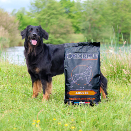 Croquettes Originelle adulte poulet sans céréales - 12 kg
