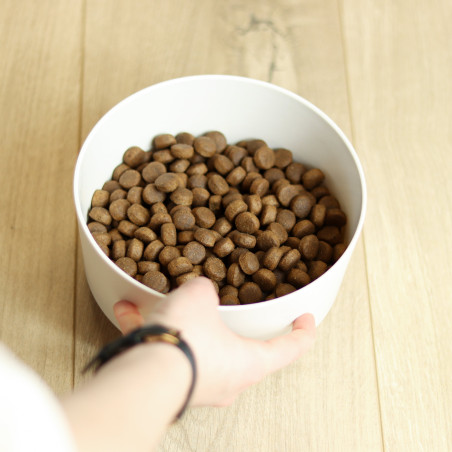 Croquettes Originelle adulte saumon sans céréales - 400g