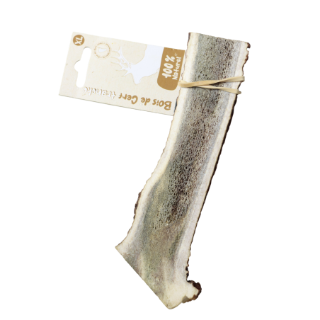 Bois de cerf tranché - taille XL