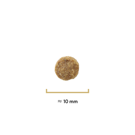 Croquettes Traditionnelle mini adulte saumon - 400g