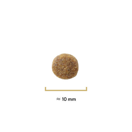 Croquettes Traditionnelle mini adulte agneau - 4 kg