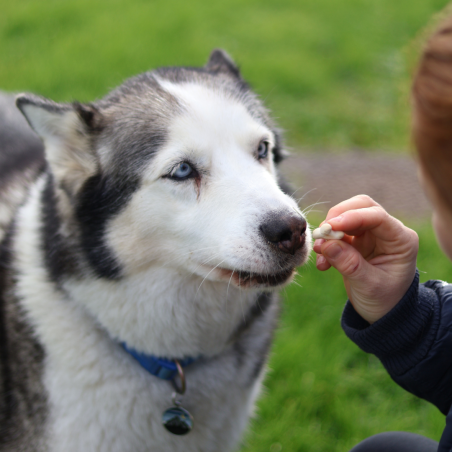 Gourmandises Éducation - 4,5 Kg