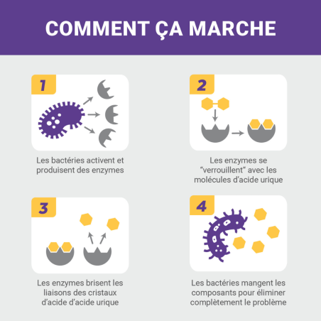 Destructeur d'urine pour chat et chaton 118ml - Urine off