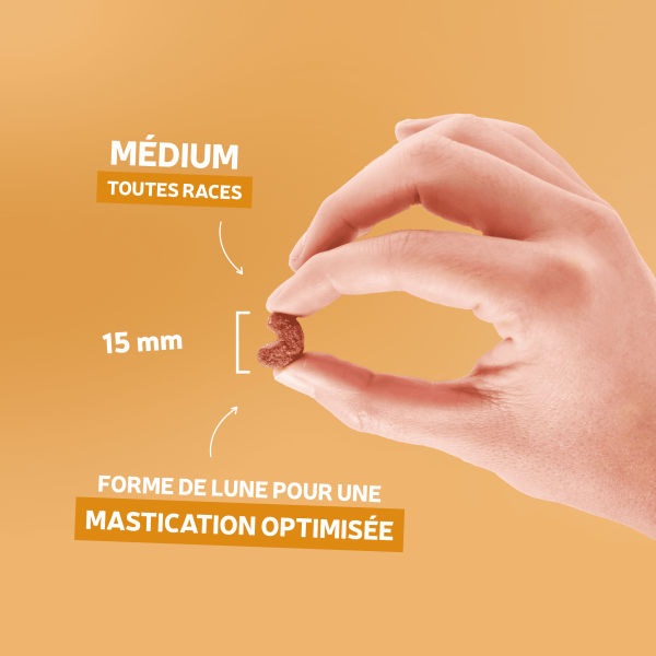 Croquettes Essentielle mini croissance volaille