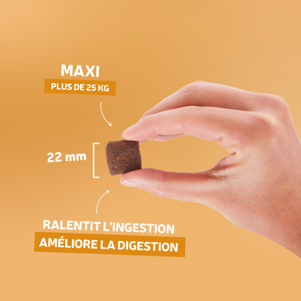 Croquettes Essentielle adulte volaille - 14 kg