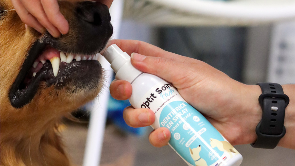 L'importance de l'hygiène bucco-dentaire chez les chiens