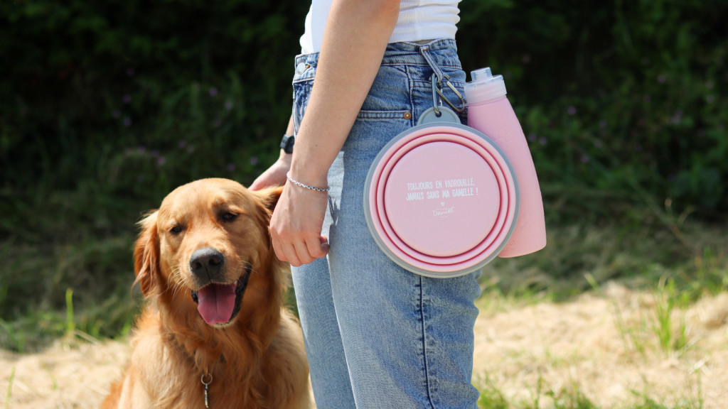 Le guide de l’été pour un animal heureux et en bonne santé