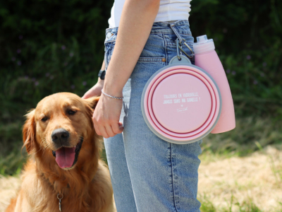 Le guide de l’été pour un animal heureux et en bonne santé